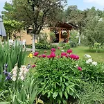 Magnolija Banja Luka