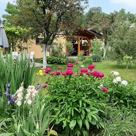 Magnolija Banja Luka