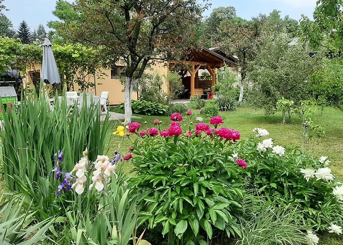 Magnolija Banja Luka